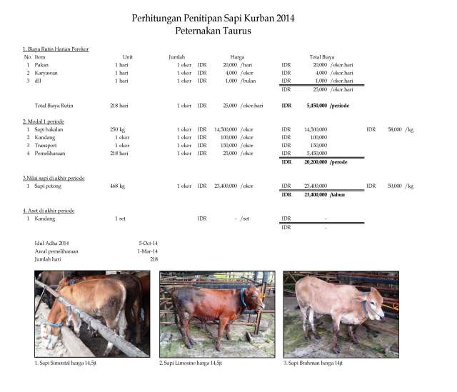 Ilustrasi program penitipan sapi kurban 2014 di Peternakan Taurus